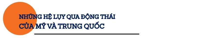 du-cung-toan-cau-nhung-he-luy-truoc-mat-va-huong-d-1601-2 - My-TQ.jpg