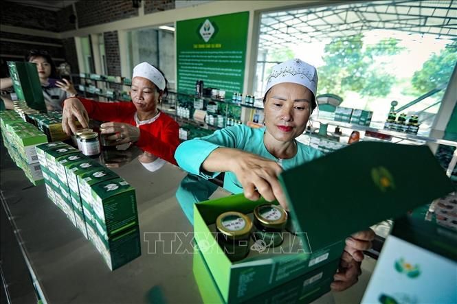 xã Yên Trị.jpg