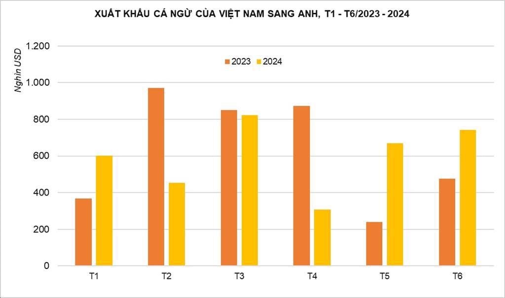 xk cá ngừ.jpeg