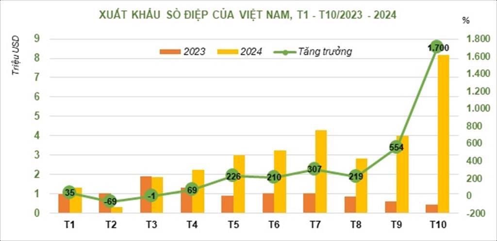 XK sò điệp.jpeg