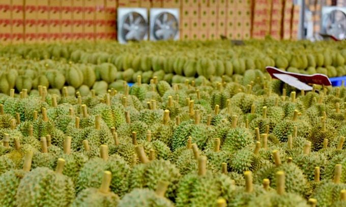 XKSR hụt hơi.jpg