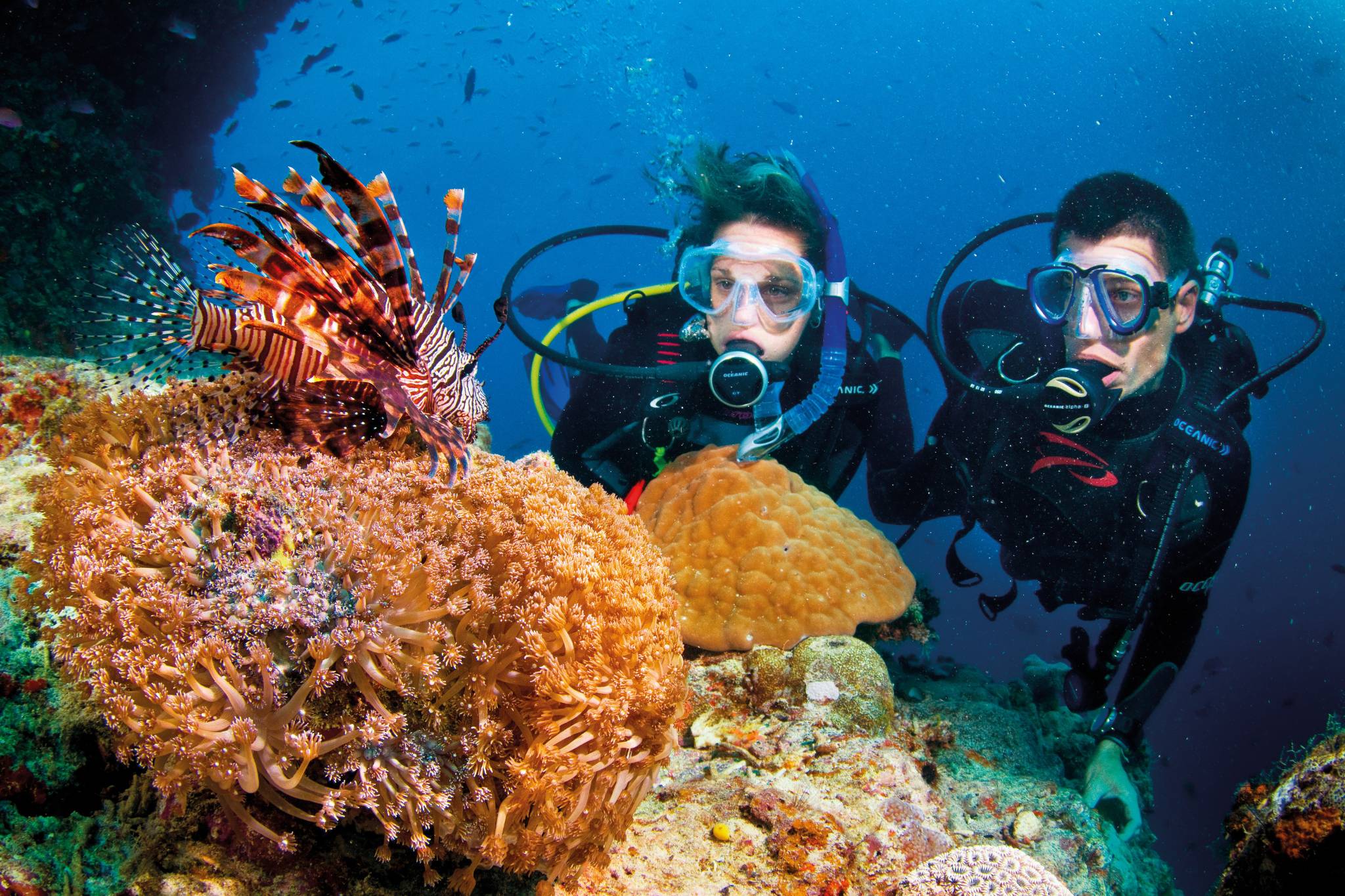 Chuyến du lịch lặn biển đầy thú vị ở Nha Trang - Kinh nghiệm lặn biển Nha Trang