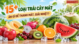 15+ loại trái cây mát cho cơ thể ngày nắng nóng