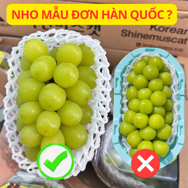 Mẹo Phân Biệt Nho Mẫu Đơn Hàn Quốc và Trung Quốc – Người Mua Thông Thái Không Thể Bỏ Qua