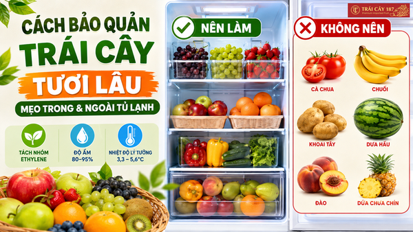 Cách bảo quản trái cây tươi lâu, mẹo trong và ngoài tủ lạnh