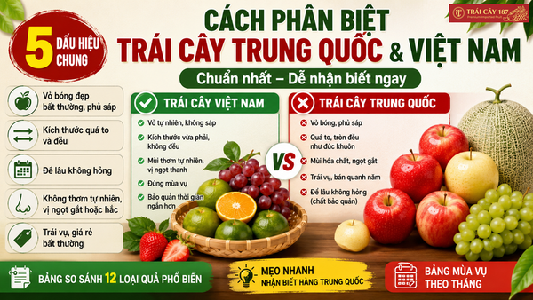 Cách phân biệt trái cây Trung Quốc và Việt Nam chuẩn nhất