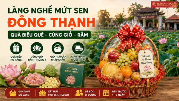 Làng nghề mứt sen Đông Thạnh và giỏ trái cây quà biếu cúng giỗ, ngày rằm