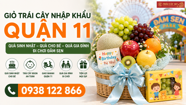 Giỏ trái cây nhập khẩu quận 11 làm quà sinh nhật, quà cho bé và quà gia đình