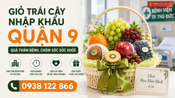 Giỏ trái cây nhập khẩu quận 9 giao nhanh thăm bệnh