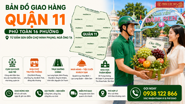 Dịch vụ giao hàng giỏ trái cây nhập khẩu quận 11 nhanh