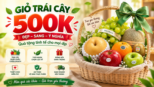 Giỏ trái cây 500k gửi trọn yêu thương