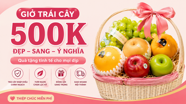 Giỏ trái cây 500k hcm