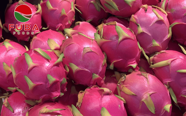 Red Dragon Fruit Supplier from Vietnam