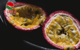 Why Frozen Passion Fruit Is Growing Globally