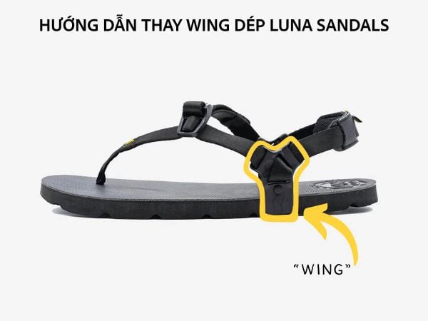 Hướng dẫn thay Wing trên dép Luna Sandals