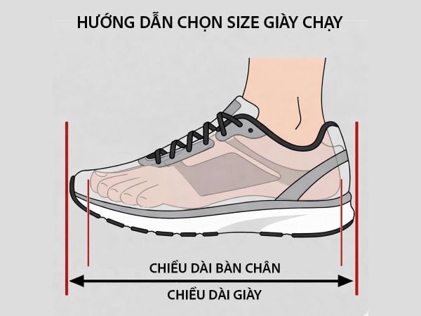 Hướng dẫn lựa chọn size giày chạy phù hợp