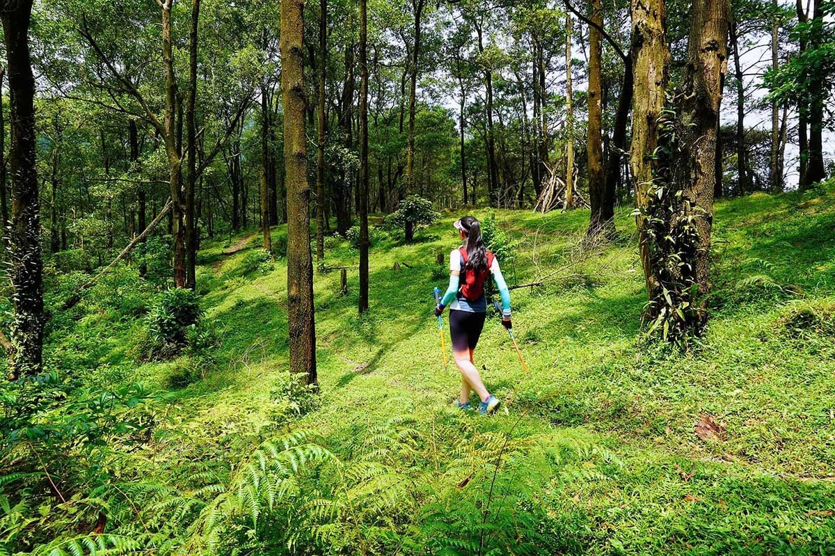 https://cdn.hstatic.net/files/200001165929/file/hiking-trails-near-hanoi-5-stunning-natural-locations.jpg