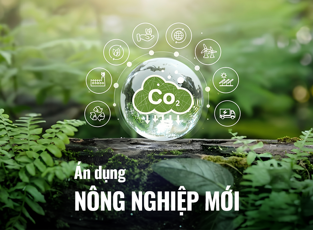 ỨNG DỤNG NÔNG NGHIỆP MỚI TRONG NGÀNH MỸ PHẨM – TỪ NGUYÊN LIỆU XANH ĐẾN GIÁ TRỊ BỀN VỮNG