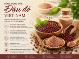 ĐẬU ĐỎ VIỆT NAM – NGUYÊN LIỆU THIÊN NHIÊN TIỀM NĂNG TRONG CHĂM SÓC DA