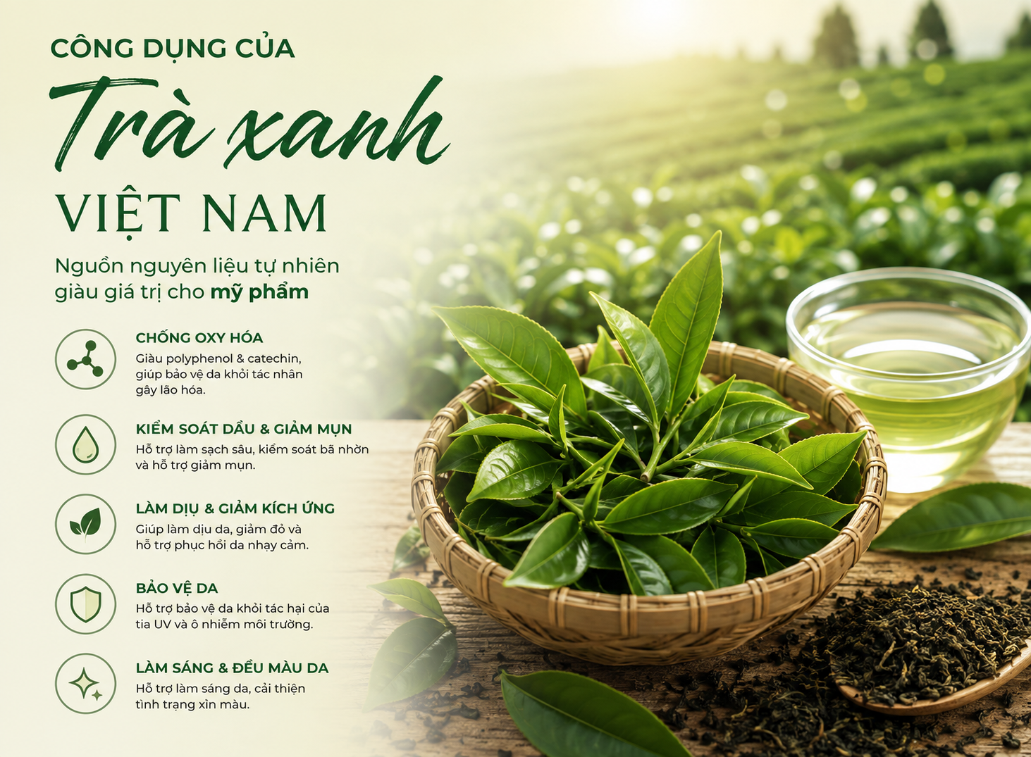 TRÀ XANH VIỆT NAM – GIÁ TRỊ TỰ NHIÊN TRONG XU HƯỚNG CHĂM SÓC DA HIỆN ĐẠI