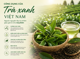 TRÀ XANH VIỆT NAM – GIÁ TRỊ TỰ NHIÊN TRONG XU HƯỚNG CHĂM SÓC DA HIỆN ĐẠI