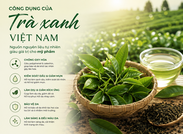 TRÀ XANH VIỆT NAM – GIÁ TRỊ TỰ NHIÊN TRONG XU HƯỚNG CHĂM SÓC DA HIỆN ĐẠI