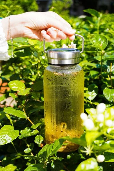 Cách Ủ Trà Cold Brew Shan Tuyết Mùa Hè - Ngon Tự Nhiên