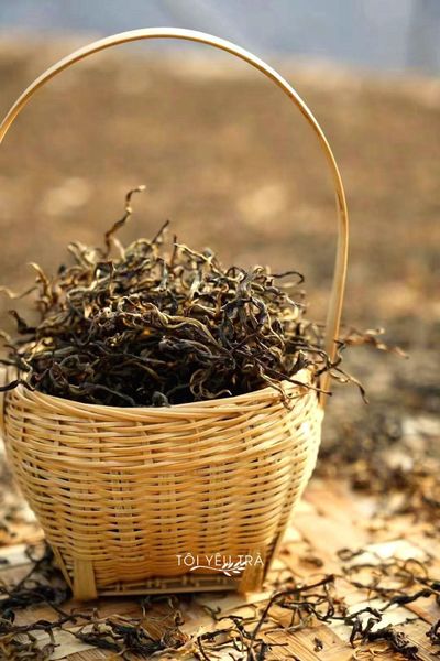 Hoàng Trà Shan Tuyết Là Gì? Bí Mật Yellow Tea Hà Giang