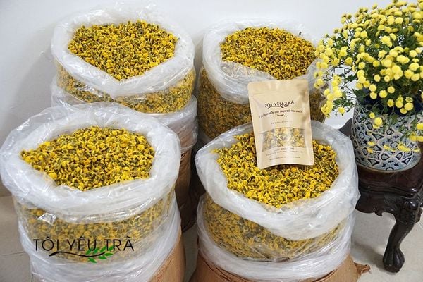 Trà Hoa Cúc Chi Giá Bao Nhiêu 1 Lạng? Đọc Trước Khi Mua