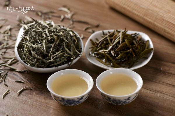Bạch Trà Shan Tuyết Là Gì? Công Dụng & Cách Pha Chuẩn