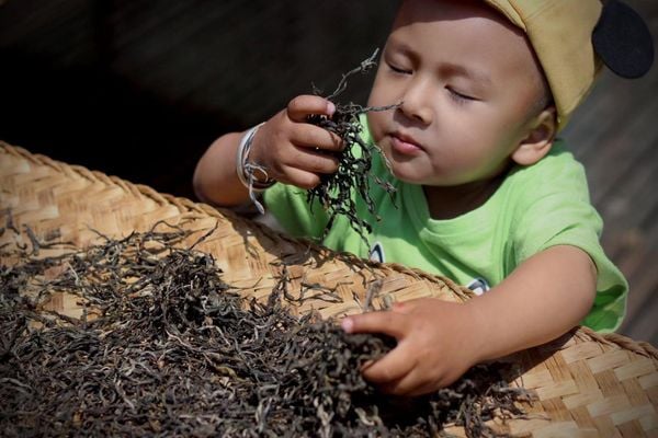 trẻ em có nên uống trà không