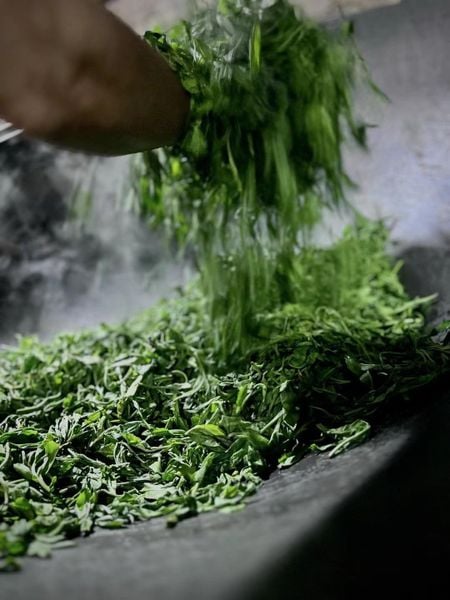 trà shan tuyết sao chảo thủ công