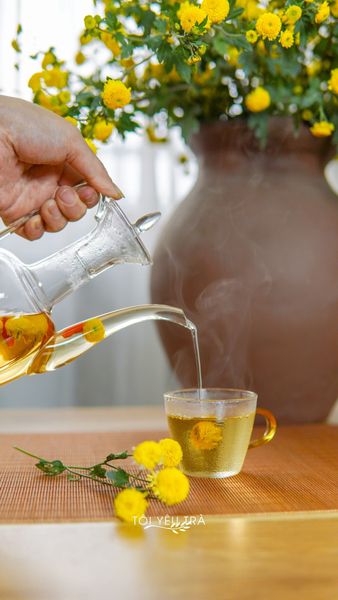 Trà Hoa cúc chi giúp ngủ ngon an thần