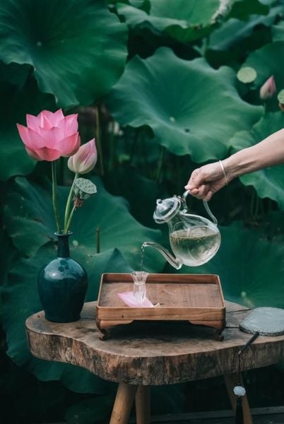 Chọn Ấm Nào Cho Từng Loại Trà: Đất, Sứ Hay Thủy Tinh?