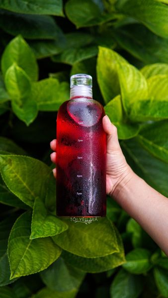 bình cold brew loại nào tốt