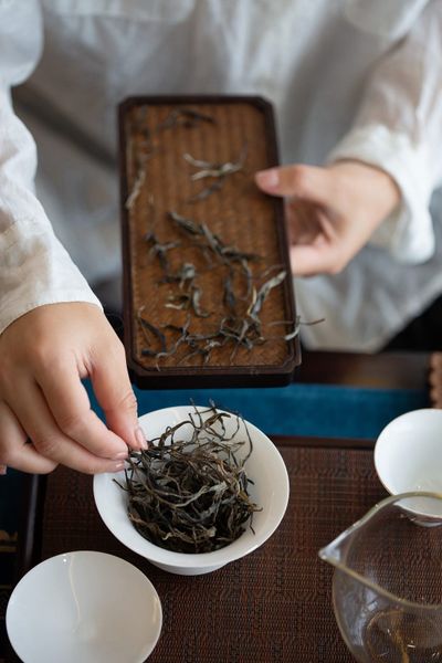 Phổ Nhĩ hay Bạch trà: đâu mới là đỉnh cao của nghệ thuật thưởng trà?