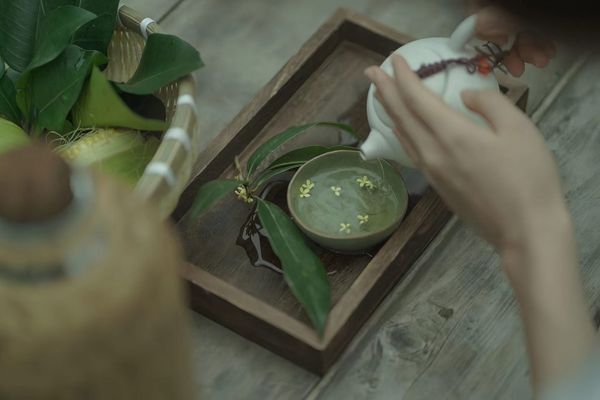 đọc sách uống trà