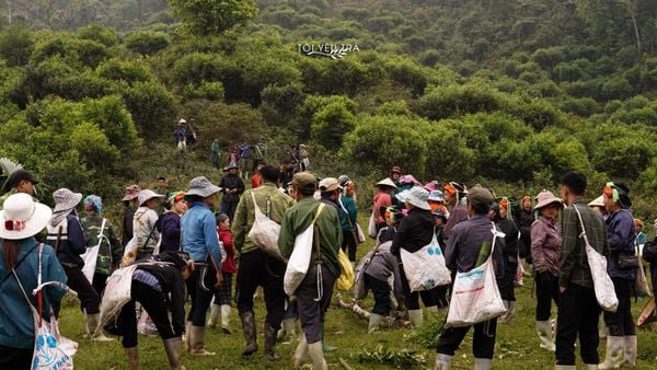 Nhóm người hái trà Tây Côn Lĩnh