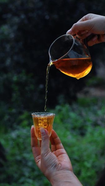 Uống Trà Buổi Sáng Có Tốt Không? Hồng trà