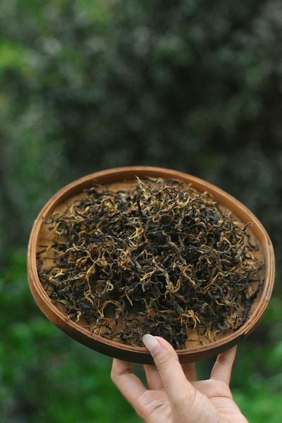 Uống Trà Buổi Sáng Hồng trà