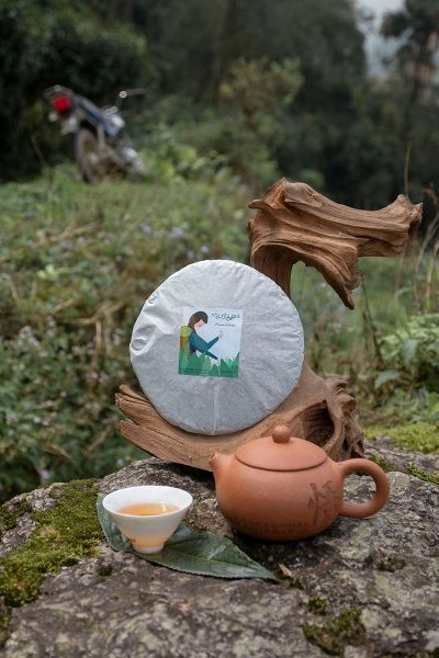 trà phổ nhĩ shan tuyết Hà Giang