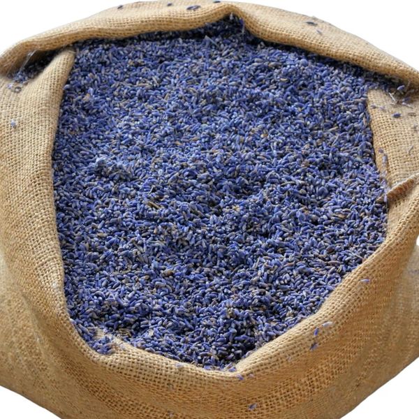 Trà hoa oải hương lavender