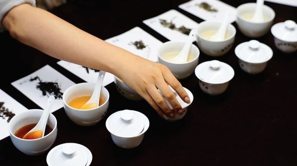 Caffeine trong trà loại nào nhiều? Bảng so sánh thực tế