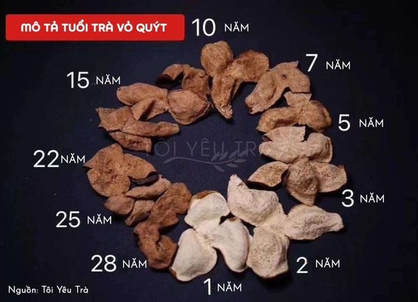 Trà Vỏ Quýt Trần Bì - Hướng Dẫn Và Cách Phân Biệt Tuổi Trà (Lão Trần Bì)