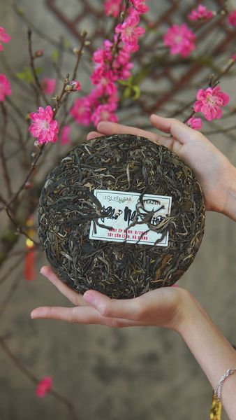 Quà Tặng Trà Sức Khỏe Tết 2027: Chọn Đúng, Tặng Ý Nghĩa