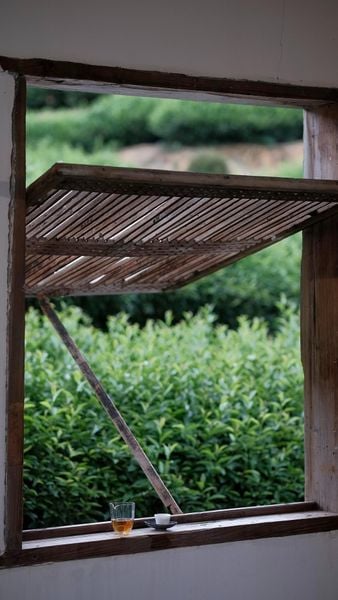 Cách Thưởng Trà Đúng Chuẩn Sành: Sắc - Hương - Vị - Khí - Thần