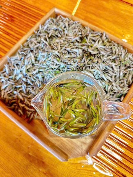 Bạch trà