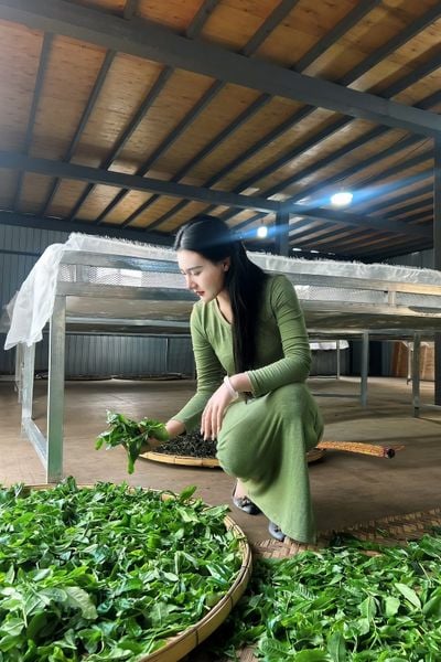 Uống trà dưỡng nhan