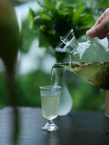 uống trà ướp hoa nhài
