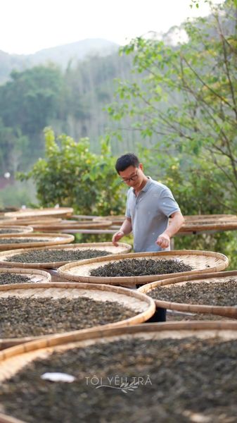 Trà phổ nhĩ việt của Tôi Yêu Trà
